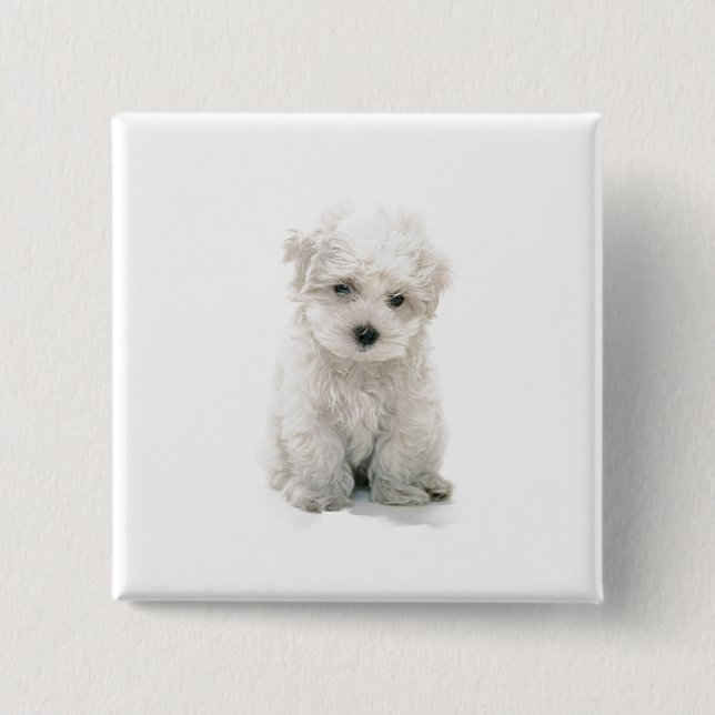 Badge Carré 5 Cm Pin carré mignon de Bichon Frise (Devant)