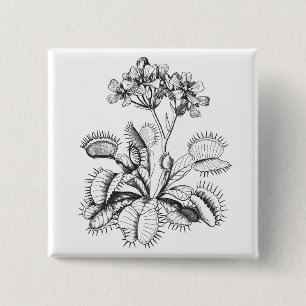 Badge Carré 5 Cm Pin d'attrape-mouche de Vénus