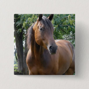 Badge Carré 5 Cm Pin de carré de cheval de pur sang de baie
