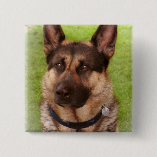 Badge Carré 5 Cm Pin de carré de chien de berger