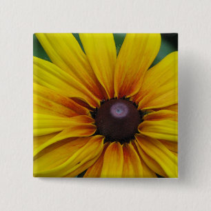 Badge Carré 5 Cm Pin de carré de fleur de Susan observé par noir