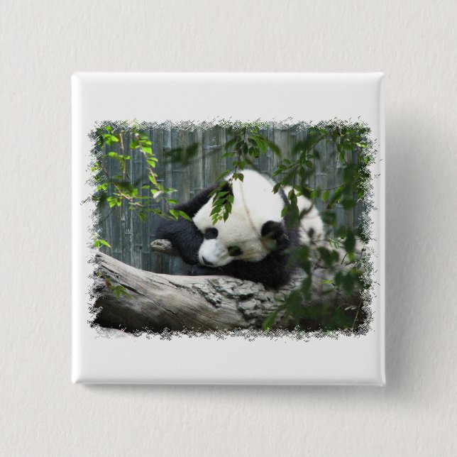 Badge Carré 5 Cm Pin de carré de panda géant (Devant)