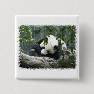 Badge Carré 5 Cm Pin de carré de panda géant
