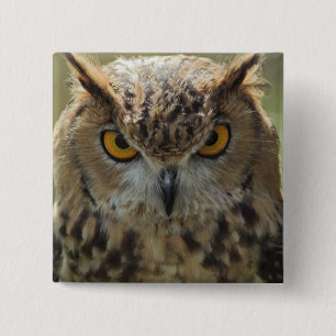 Badge Carré 5 Cm Pin de carré de photo de hibou