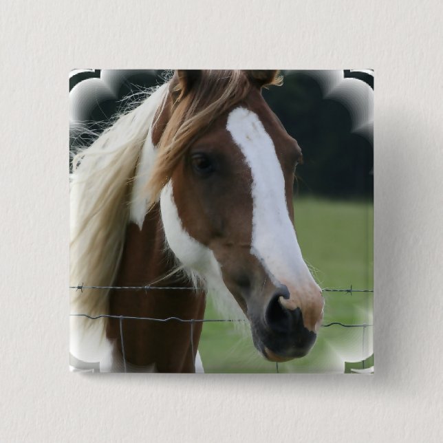 Badge Carré 5 Cm Pin de carré de poney de Pinto (Devant)