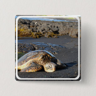 Badge Carré 5 Cm Pin de carré de tortue de mer