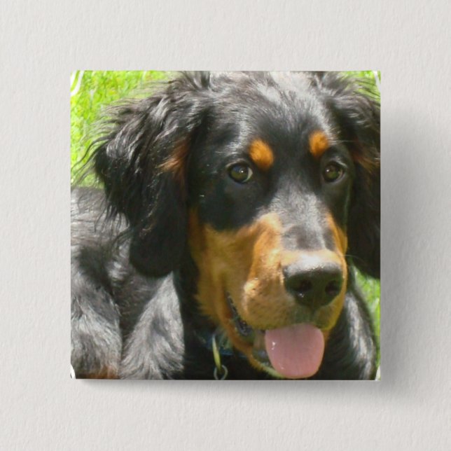 Badge Carré 5 Cm Pin de chien de poseur de Gordon (Devant)