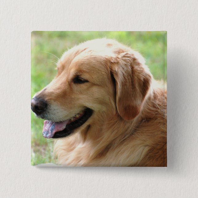 Badge Carré 5 Cm Pin de chiot de golden retriever (Devant)