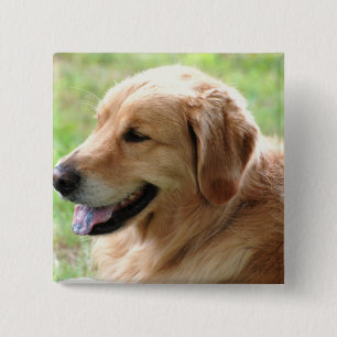 Badge Carré 5 Cm Pin de chiot de golden retriever