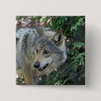 Pin de égrappage de loup