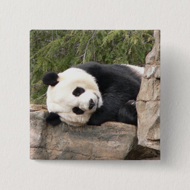 Badge Carré 5 Cm Pin de panda (Devant)
