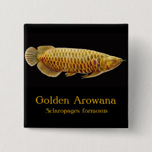Badge Carré 5 Cm Pin d'or de poissons d'Arowana
