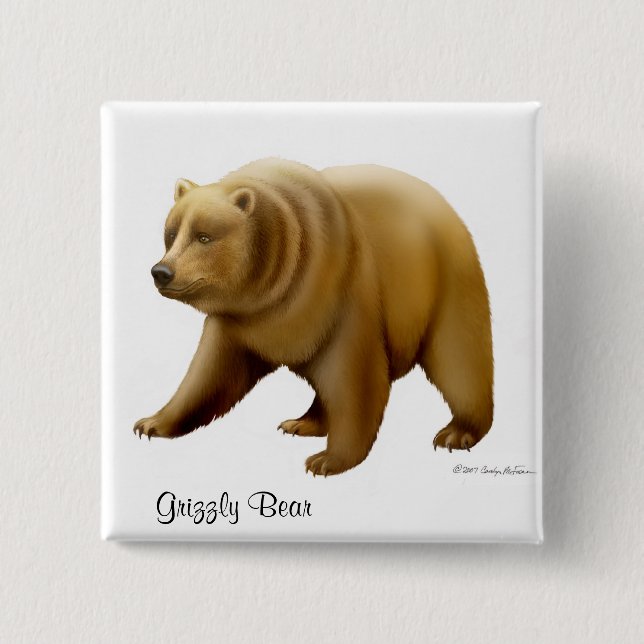 Badge Carré 5 Cm Pin d'ours gris (Devant)