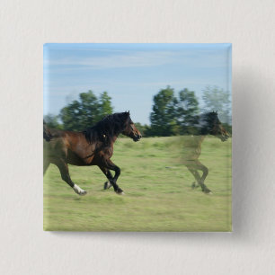 Badge Carré 5 Cm Pin galopant de carré de mustangs