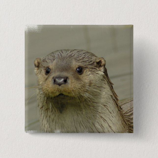 Badge Carré 5 Cm Pin géant de loutre de rivière (Devant)