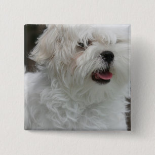 Badge Carré 5 Cm Pin maltais blanc de carré de chiot