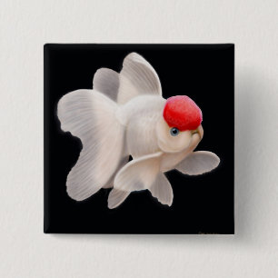 Badge Carré 5 Cm Pin rouge de poisson rouge d'Oranda de casquette