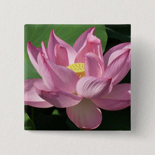 Badge Carré 5 Cm Pink Lotus Flower IV (Devant)