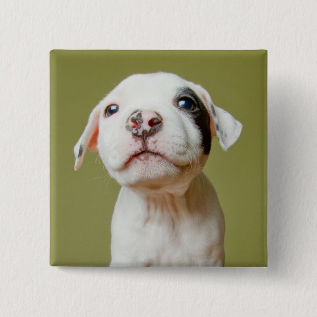 Badge Carré 5 Cm Pitbull avec l'oeil repéré par noir (Devant)