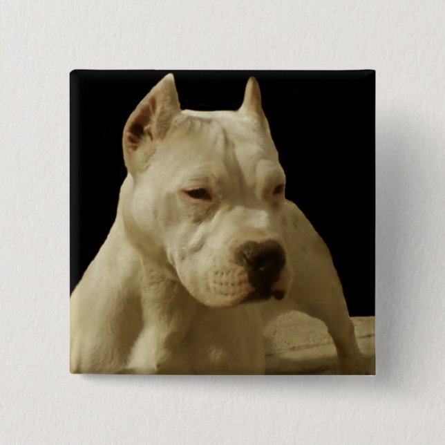 Badge Carré 5 Cm Pitbull blanc (Devant)