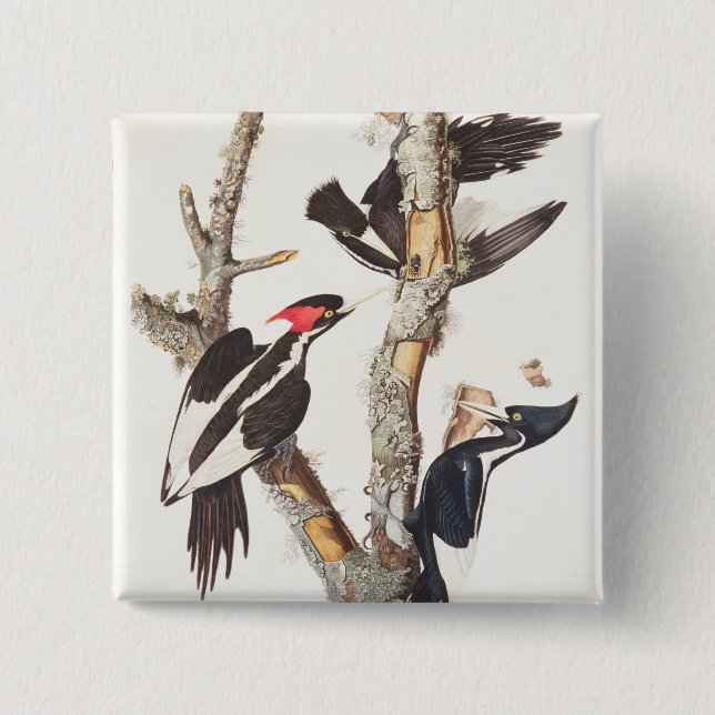 Badge Carré 5 Cm pivert Ivoire-affiché, 1829, (copie) (Devant)