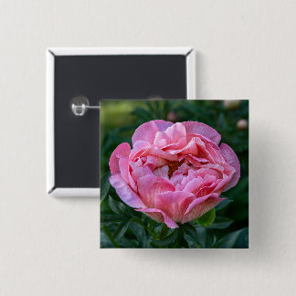 Badge Carré 5 Cm Pivoine Rose Romantique Fleurir Douce Florale Past