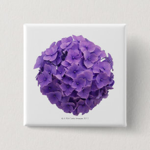 Badge Carré 5 Cm Plan rapproché de boule d'hortensia