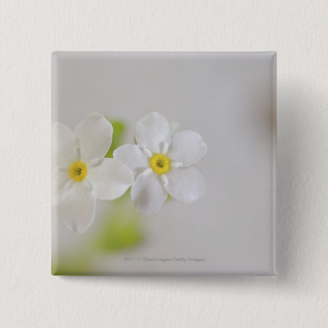 Badge Carré 5 Cm Plan rapproché des fleurs (Devant)