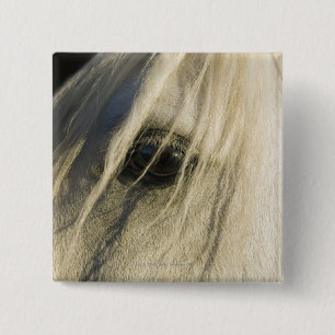 Badge Carré 5 Cm Plan rapproché d'oeil de cheval