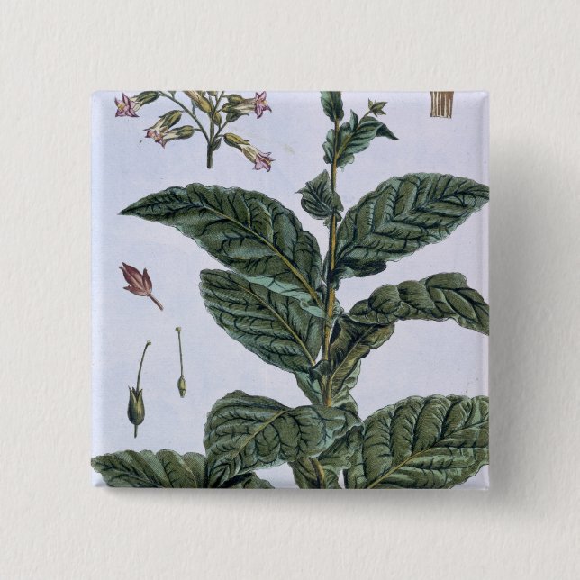 Badge Carré 5 Cm Plante de tabac, plat 7, de 'collection Precieuse (Devant)
