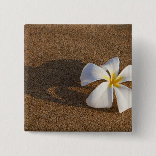 Badge Carré 5 Cm Plumeria sur une plage de sable, Maui, Hawaii, Éta