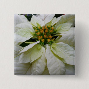 Badge Carré 5 Cm Poinsettia Elegant Christmas Holiday Floral