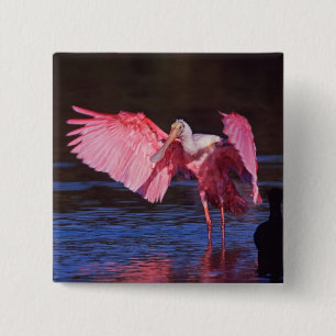 Badge Carré 5 Cm Pois de rose (Ajaia ajaja) avec Cormorant
