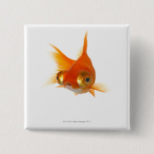 Badge Carré 5 Cm Poisson d'or aux grands yeux