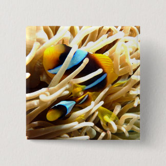 Badge Carré 5 Cm Poissons de clown