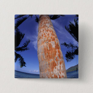 Badge Carré 5 Cm Polynésie française, Bora Bora, Palmiers