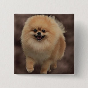 Badge Carré 5 Cm Pomeranian