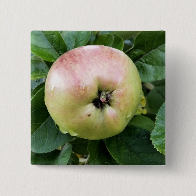 BADGE CARRÉ 5 CM POMME (Devant)