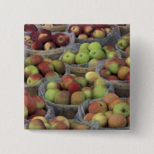 Badge Carré 5 Cm Pommes Macintosh d'État de New York dans des panie