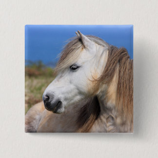 Badge Carré 5 Cm Poney de gallois