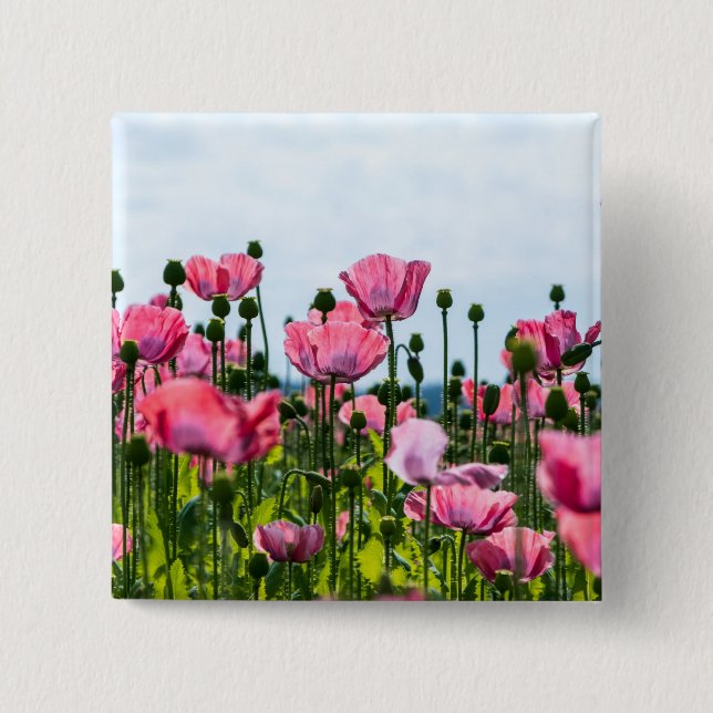 Badge Carré 5 Cm Poppies roses (Devant)