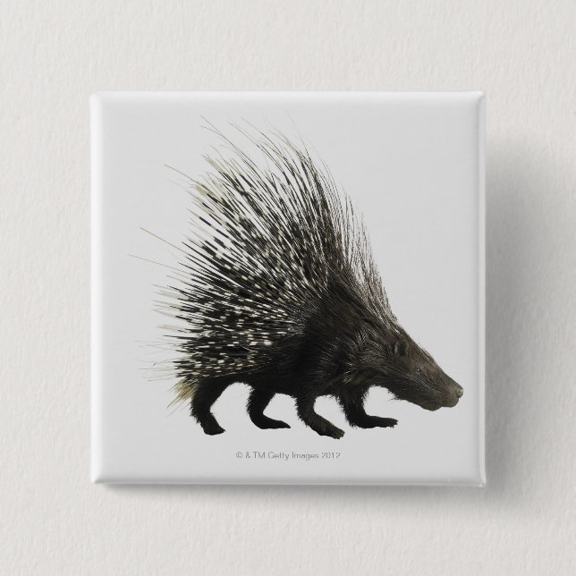 Badge Carré 5 Cm Porcupine (Devant)