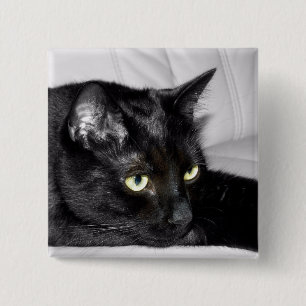 Badge Carré 5 Cm Portrait de chat noir mignon