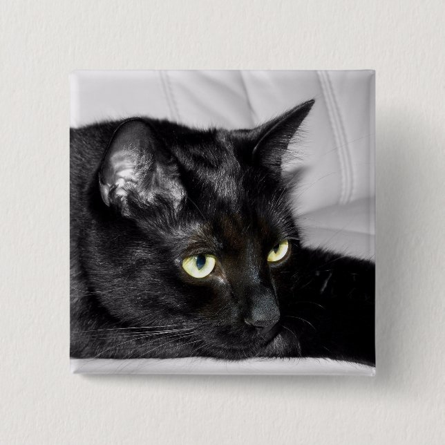 Badge Carré 5 Cm Portrait de chat noir mignon (Devant)