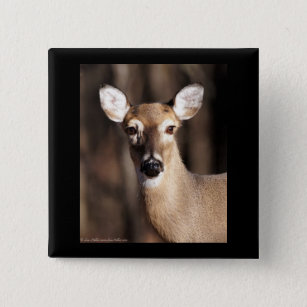 Badge Carré 5 Cm Portrait de daine de cerf de Virginie de faune