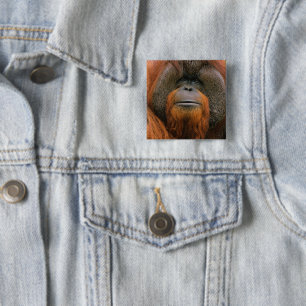 Badge Carré 5 Cm Portrait de mâle orang-outan, Géorgie, États-Unis