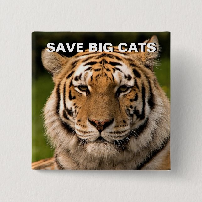 Badge Carré 5 Cm Portrait de Sumatran Tiger (Devant)