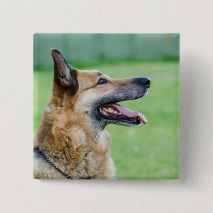 Badge Carré 5 Cm Portrait latéral du berger allemand