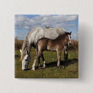 Badge Carré 5 Cm Poulain du cheval de Camargue avec sa mère