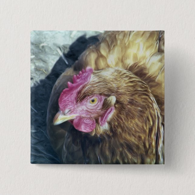 BADGE CARRÉ 5 CM POULET (Devant)